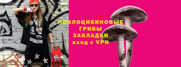 ПСИЛОЦИБИНОВЫЕ ГРИБЫ Горняк