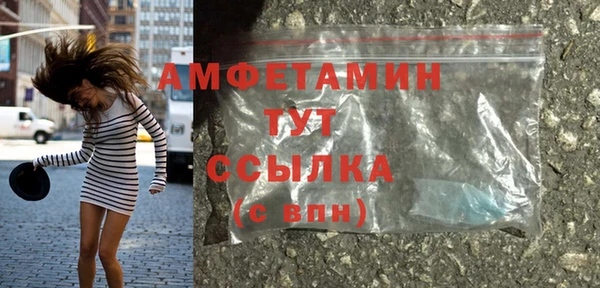 ПСИЛОЦИБИНОВЫЕ ГРИБЫ Горняк