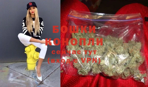 ПСИЛОЦИБИНОВЫЕ ГРИБЫ Горняк