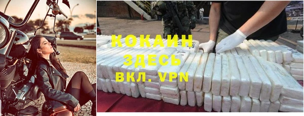 ПСИЛОЦИБИНОВЫЕ ГРИБЫ Горняк