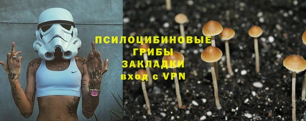 ПСИЛОЦИБИНОВЫЕ ГРИБЫ Горняк