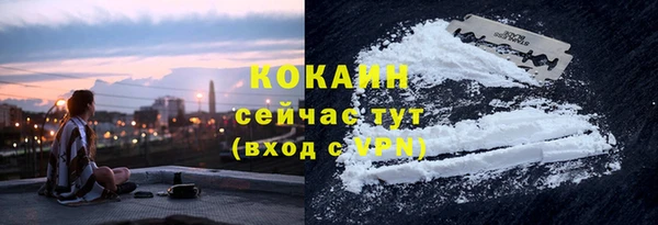 ПСИЛОЦИБИНОВЫЕ ГРИБЫ Горняк