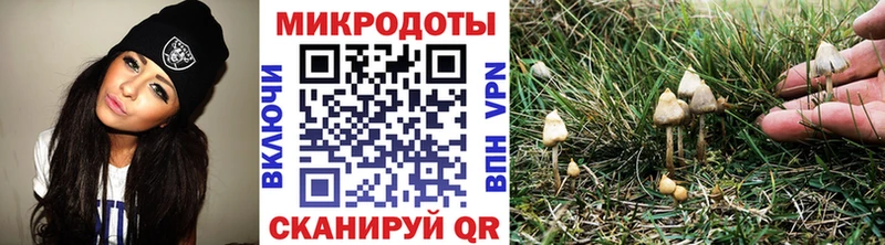Псилоцибиновые грибы Psilocybine cubensis  дарнет шоп  Духовщина 